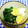 ととろ＆めい's cooksnap of when they made ちぢみほうれん草とゆで卵の胡麻マヨ和え.