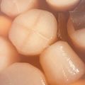 uki626's cooksnap of when they made 大根しみしみ煮.