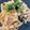 わたるんママ's cooksnap of when they made 濃厚☆明太子クリームパスタ.