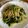 クック49L4Ho☆'s cooksnap of when they made 冷凍キノコとほうれん草の和風パスタ.
