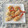 puniＫ's cooksnap of when they made 揚げずに簡単！海老のマヨパン粉焼き☆.