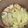 ひまわり６号's cooksnap of when they made 白菜と油あげの煮びたし.