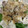 ゆたそうクマ's cooksnap of when they made 賄い副菜！大根と水菜の白和え風！.