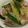 クック72☆'s cooksnap of when they made 長ネギと鶏肉のガリバタ醤油炒め☆.