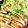 クック5QGWVN☆'s cooksnap of when they made マヨネーズ良い！【鶏むね肉の甘酢照り焼き.