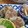 taruママ's cooksnap of when they made 玉ねぎ蓮根のもちもち焼き.