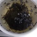 yama_miu's cooksnap of when they made 基本の下ごしらえ｜乾燥ひじきの戻し方.
