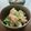 かわゆう1211's cooksnap of when they made 鶏肉の梅おろし煮*.