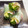 ちゃまたまご's cooksnap of when they made 和風&ヘルシー♪ 大葉と生ハムの生春巻き.