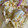 67luna's cooksnap of when they made キャベツとハムの塩だれ炒め.
