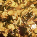 ゆき☆neko's cooksnap of when they made あかもくのふわとろ卵スープ.