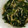 クックT4S3SB☆'s cooksnap of when they made ほうれん草とえのきの煮浸し.