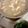 大阪のちゃーちゃん's cooksnap of when they made 長いもの味噌汁.