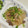 ほあちん's cooksnap of when they made ～簡単～豚切り落としのさっぱり照り炒め.