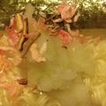 xyzクック's cooksnap of when they made 夏においしいラーメン.