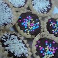 nao２１０'s cooksnap of when they made 簡単カップチョコ.