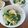 かわゆう1211's cooksnap of when they made じゃがいもと菜の花の簡単マヨサラダ.