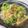 じゅんせいたん's cooksnap of when they made 激ウマ！マンボウの肝味噌煮込み☆.