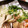 クックG1CG0C☆'s cooksnap of when they made 切って蒸すだけ！！秋冬野菜の簡単蒸し野菜.