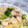 いちごちょこ0415's cooksnap of when they made 海老としめじのクリームパスタ柚子胡椒風味.