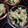 ひっこ's cooksnap of when they made 切干大根とせりの和え物.