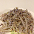 うっかりセサミ's cooksnap of when they made 簡単ヘルシー☆もやしとじゃこのゆかり和え.