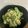 クックO79PAJ☆'s cooksnap of when they made 簡単☆菜の花の白和え♪.