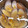 クックFHRX1S☆'s cooksnap of when they made 簡単 スダレ貝のすまし汁.