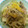 まん！'s cooksnap of when they made ダイエットにも☆サバ缶で簡単野菜炒め♪.