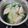 Mary٭•･❁'s cooksnap of when they made 餃子スープ★宇都宮学校給食.