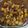 クック1U2W5U☆'s cooksnap of when they made さつまいもと大豆のコロコロ炒め煮。.