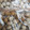 ささささ＆＊'s cooksnap of when they made 銀杏【殻ごと・冷凍保存】…と殻むき.