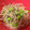 ヴィーナスけい's cooksnap of when they made ✿もやしと枝豆のナムル✿.