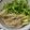asacham's cooksnap of when they made せりの根っこの洗い方★せり鍋に必須！.