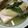ばたみそーぱん☆'s cooksnap of when they made しょっつる湯豆腐☆簡単鍋！絶品★.