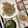 ぐりtoぐら's cooksnap of when they made ぱぱっとできる♪めんつゆで簡単♪牛丼.