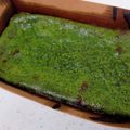shuga57820's cooksnap of when they made バレンタインに♡生チョコ風ガトーショコラ.