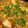 やよい・M's cooksnap of when they made 中国育ちの夫も大好き！本格麻婆豆腐.