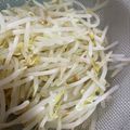 キュキュットさん's cooksnap of when they made 栄養士直伝☆ もやしのおいしいゆで方.