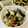 CHISA☆ごはん♪'s cooksnap of when they made キャベツとひじきの炒めあえ.