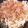♬あじさいのレシピ♬'s cooksnap of when they made 【簡単】焼きうどん(醤油味).