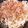 ♬あじさいのレシピ♬'s cooksnap of when they made 【簡単】焼きうどん(醤油味).