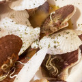ふぁんころ's cooksnap of when they made 美味しい！殻付きベビーホタテの洋風酒蒸し.