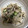Reo14☆'s cooksnap of when they made レンジで2分！オクラとえのきの塩昆布和え.