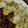 puti＊lady's cooksnap of when they made おばあちゃんのちらし寿司.