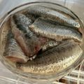 きく7AW7TV☆'s cooksnap of when they made イワシ（鰯）の酢漬け（マリネ）.