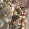 みーちゃんママと婆's cooksnap of when they made ぼっかけ♪（牛すじ煮込み）基本.