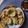 kazunaring's cooksnap of when they made 毛がにの姿造り(くりがに).