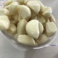 りゅこひま's cooksnap of when they made *大量に！にんにく皮むき～水だけで*.