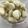 りゅこひま's cooksnap of when they made *大量に！にんにく皮むき～水だけで*.